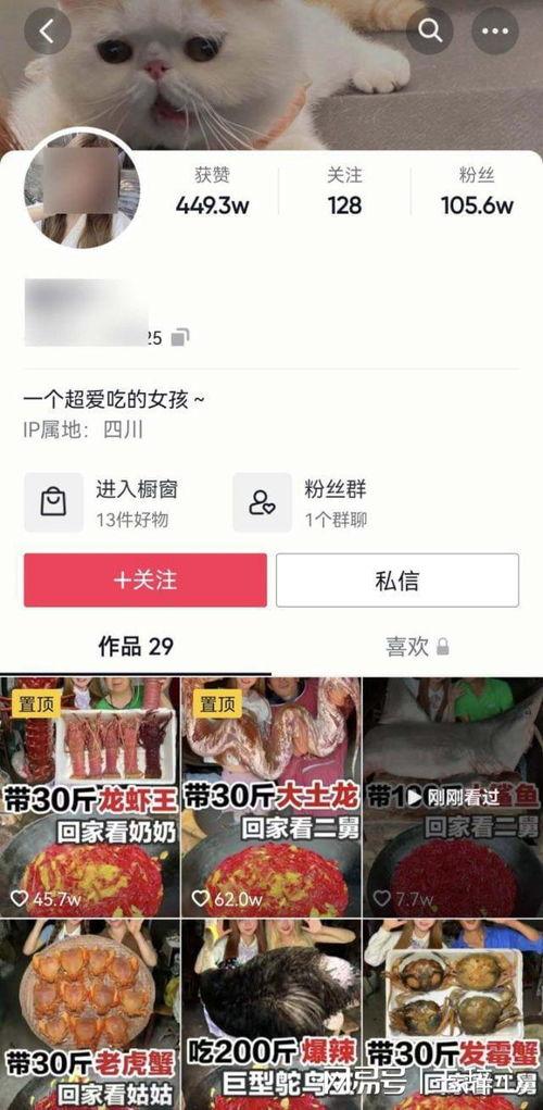 网红吃白鲨被爆料视频,视频曝光引争议