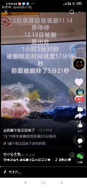 完美星爆料完整视频,揭秘视频背后的精彩瞬间与幕后故事